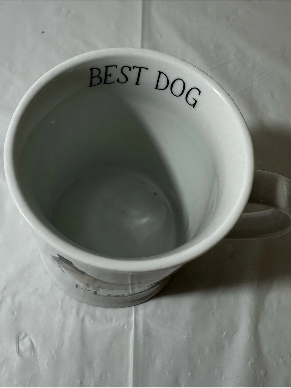 Fringe Studio White Pug Ceramic Dog Bowl Mug with‎ Top Hat Illustration